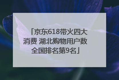 京东618带火四大消费 湖北购物用户数全国排名第9名